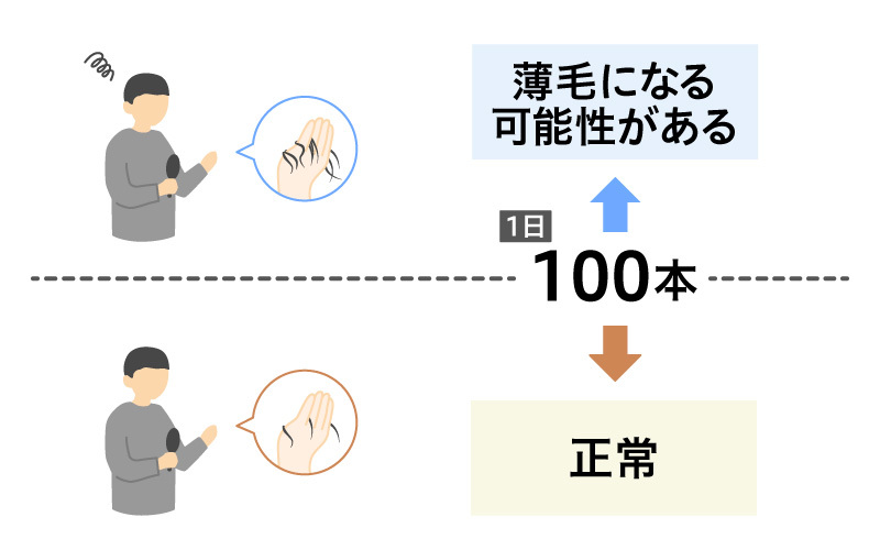 抜け毛の量