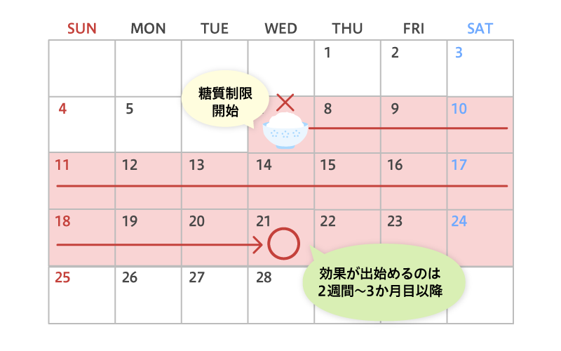 糖質制限の効果は2週間目から