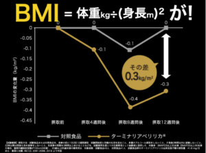 ターミナリアファースト＿BMI