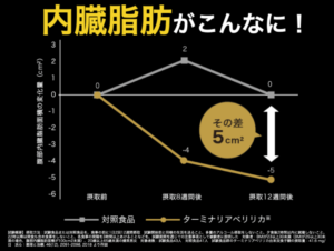 ターミナリアファースト＿内臓脂肪